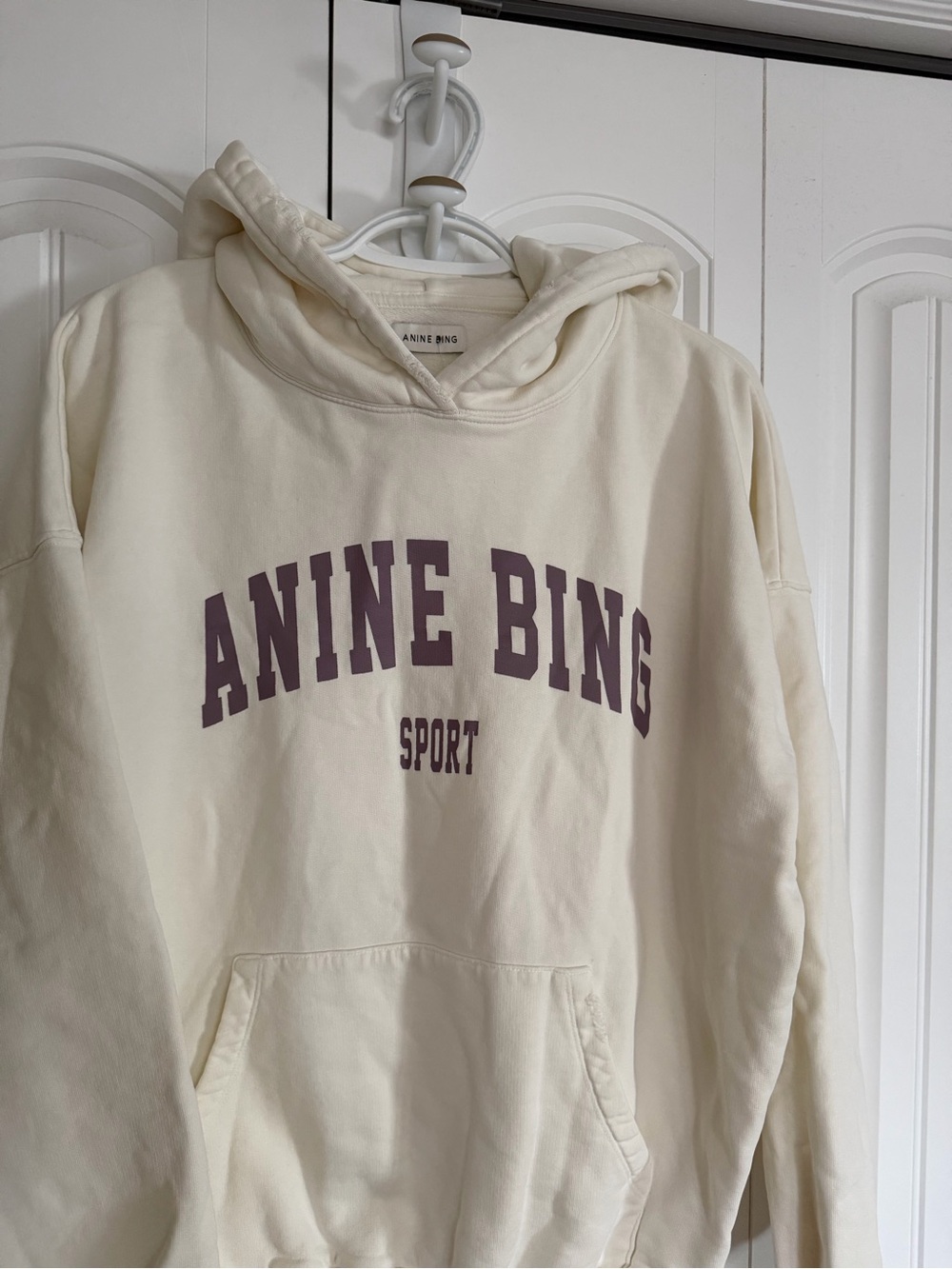 Anine bing harvey hoodie